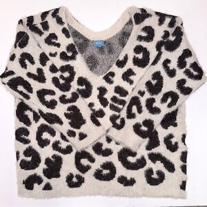 Neely Sweater Leopard Print XS (fits like s/m) from Nordstrom Double V Neck